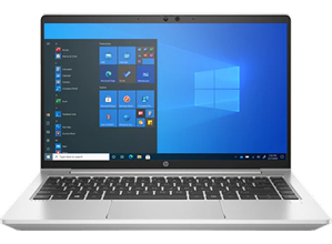 HP 255 15.6 inch G10 Notebook PC