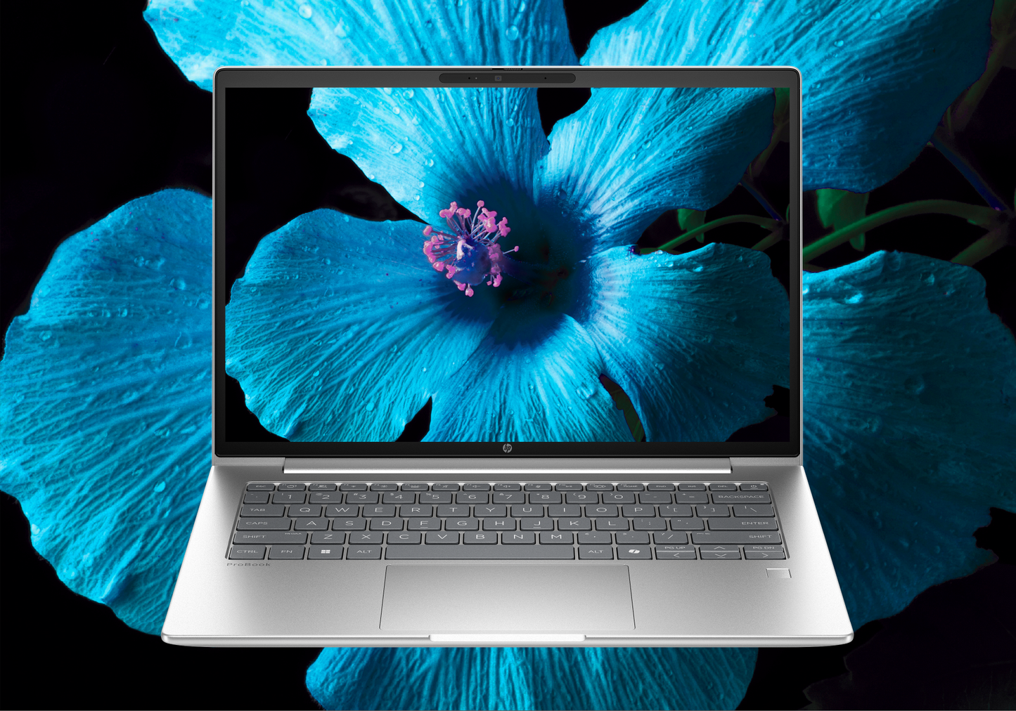 HP ProBook 4 G1iR 14" Laptop – CE1A7AT